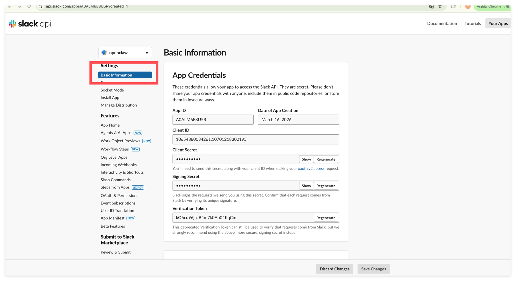 Open Basic Information in the Slack app